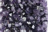 Freestanding Amethyst Crystal Cluster - Uruguay #379302-3